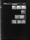 Bootlegger Captured (9 Negatives) (December 21, 1964) [Sleeve 77, Folder d, Box 34]